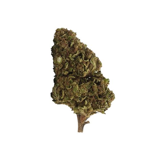 Fleur 10-OH-HHC White Widow 10-OH-HHC — STONR