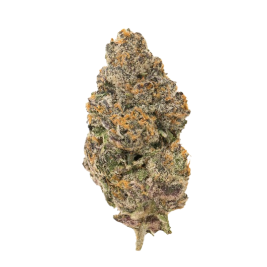 Fleur THC+ Biscotti THC+ — STONR