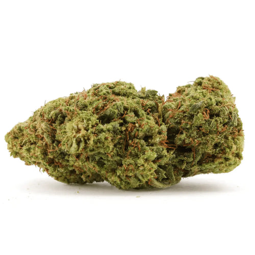 Orange Bud CBX 🍊