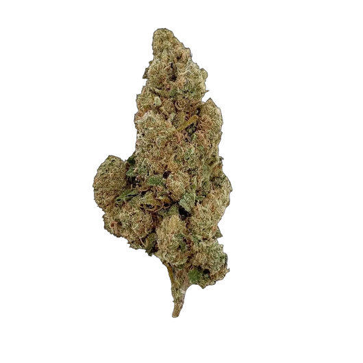 Fleur 10-OH-HHC Amnesia 10-OH-HHC — STONR